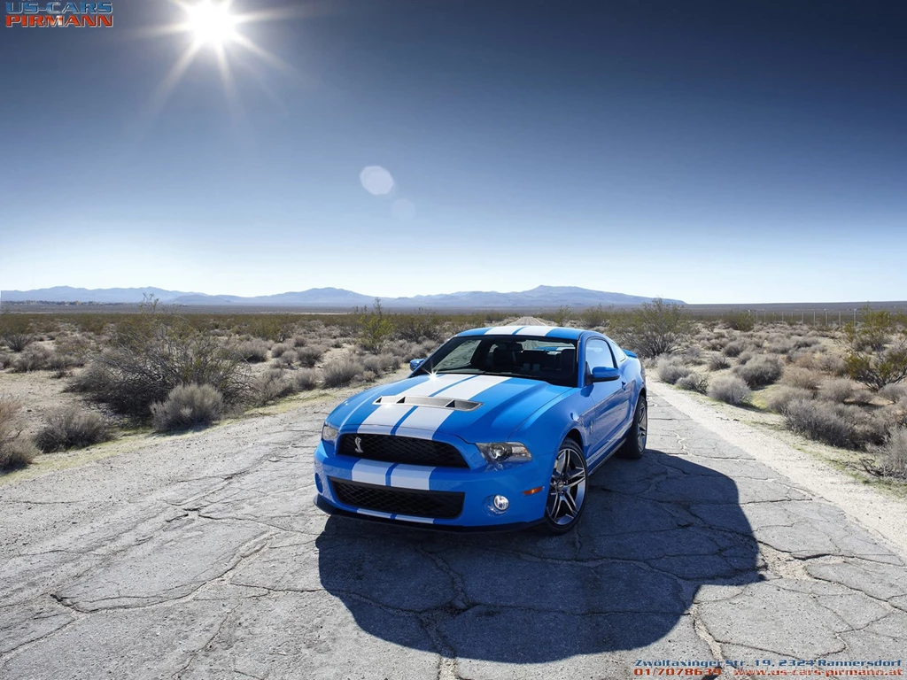 Downloads Hintergrundbild Wallpapers Von Mustang Shelby Dodge ...