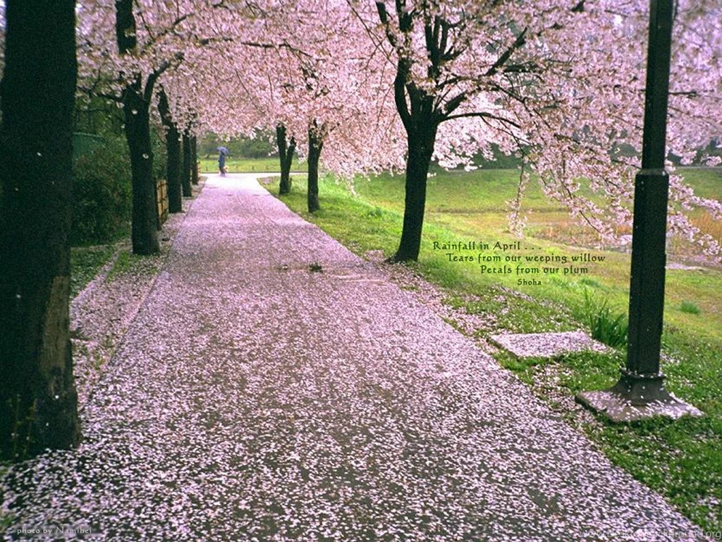 Paulbarford Heritage The Ruth: Rainfall Wallpapers