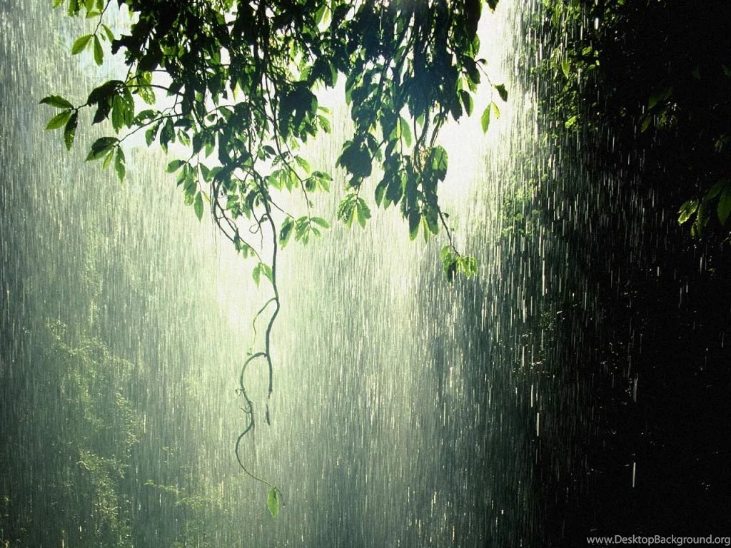 Rain Quotes And Wallpapers The Wondrous Pics