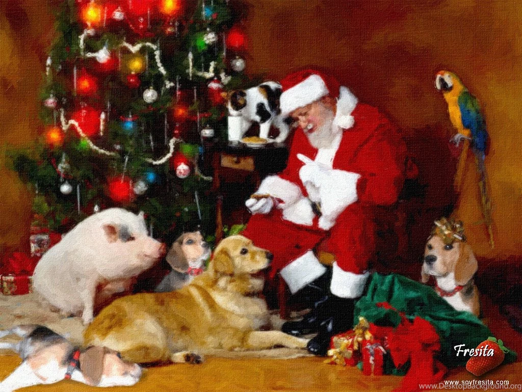 Christmas Pictures With Dogs   Christmas