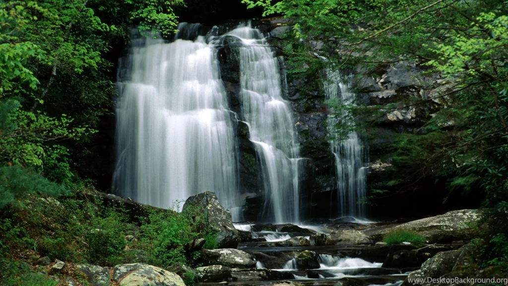 National, Park, Tennessee, Smoky, Mountain, Nature, Great, Meigs ...