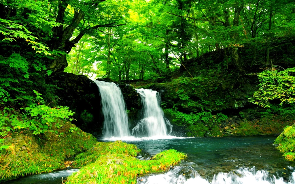 Twin Falls (