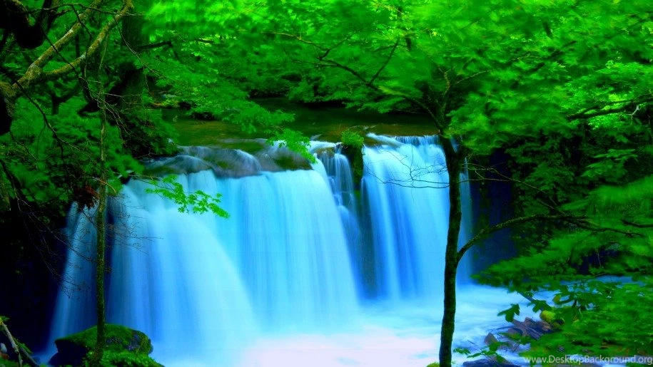 Forest River Falls Desktop Backgrounds Wallpapers 2560x1600 ...