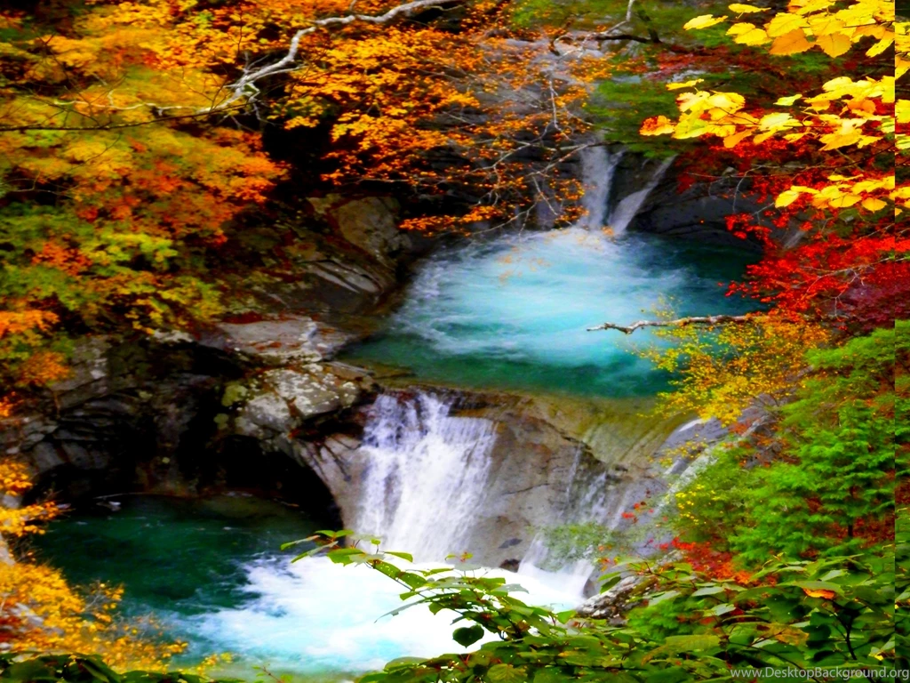 Sunsets: AUTUMN FOREST FALLS Nature Background Images For High ...