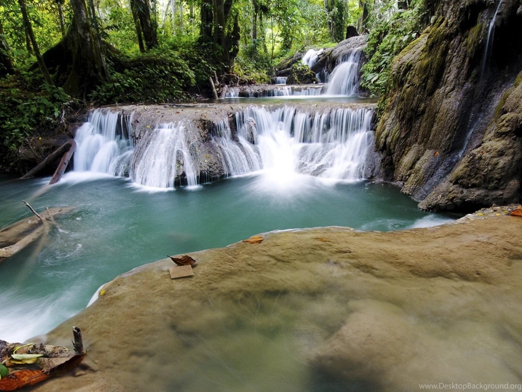 Forest Falls Hd Desktop Backgrounds 340862 : Wallpapers13.com