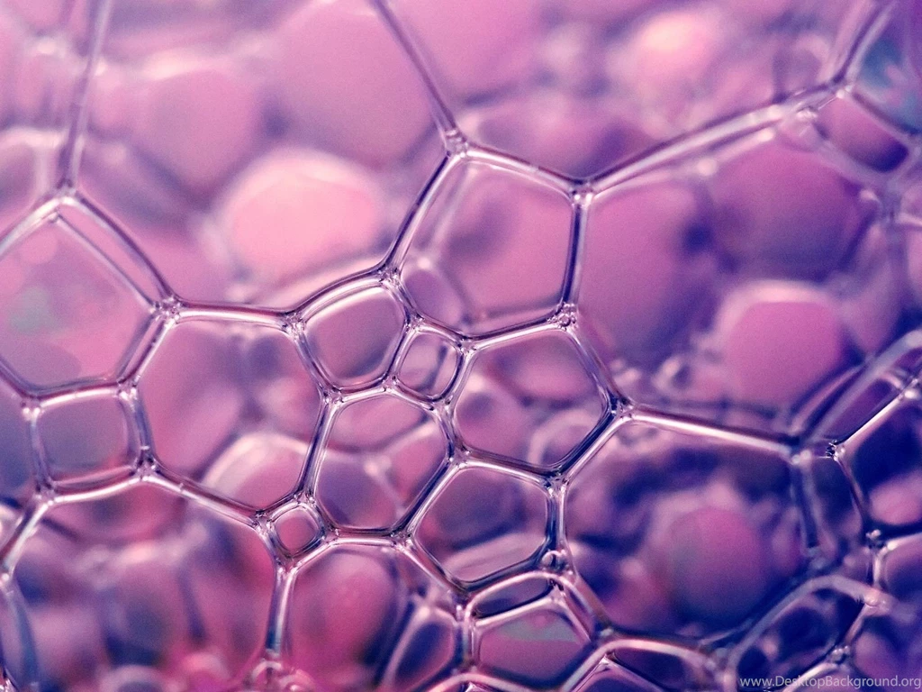 1600x1200 Purple Soap Bubble Macro Desktop PC And Mac Wallpapers