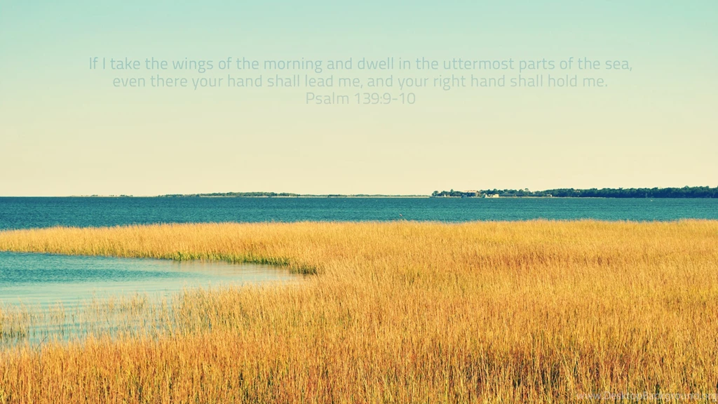 Wallpapers Gud Morning Free Calendars May Challies Dot Com ...