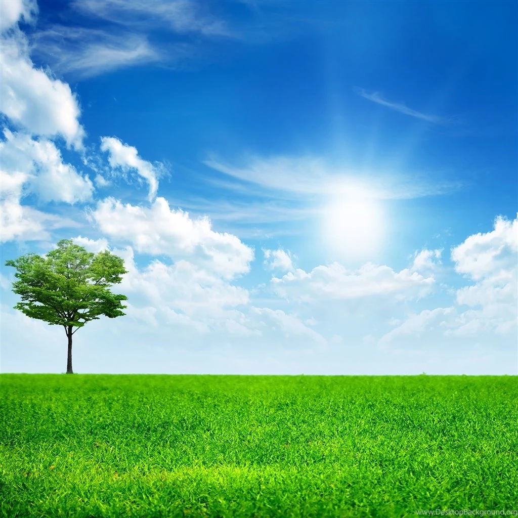 Green Nature iPad Air Wallpapers Download