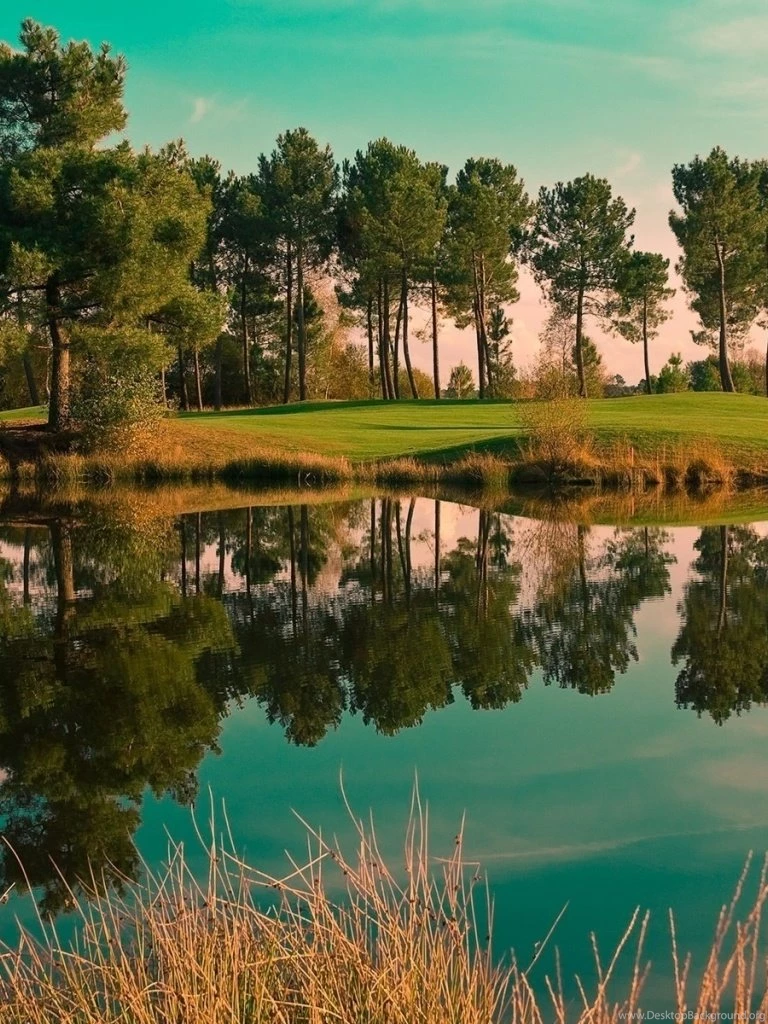 768x1024 Nature & Lake Golf Usa Ipad Mini Wallpapers