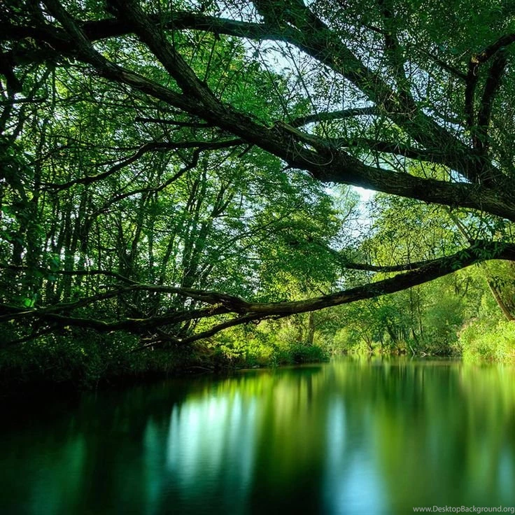 iPad Retina Wallpapers HD Retina Ready, Stunning Wallpapers ...