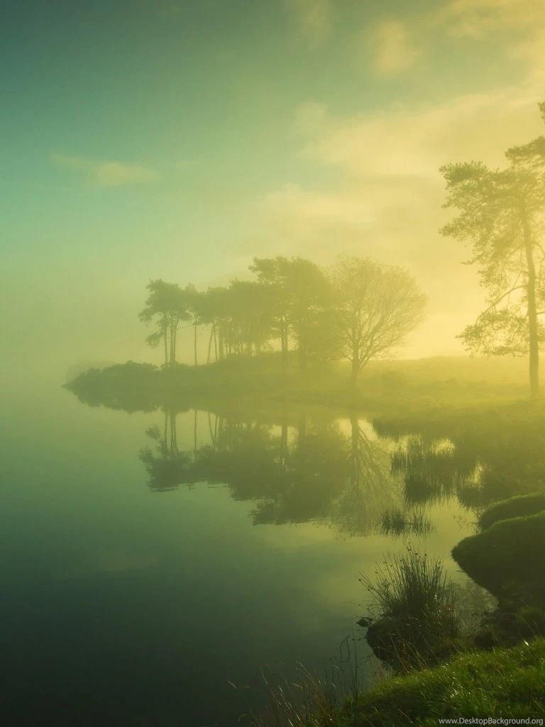 768x1024 Sunrise Nature Fog & Sea Ipad Mini Wallpapers