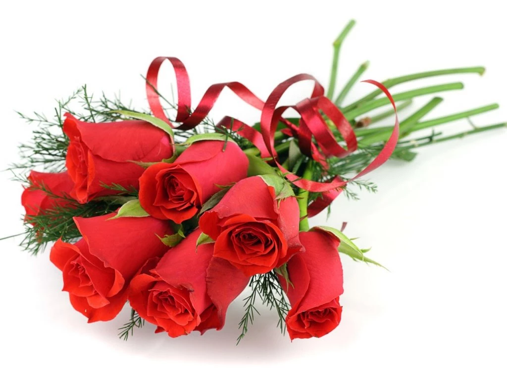 Only Red Roses High Quality Wallpapers