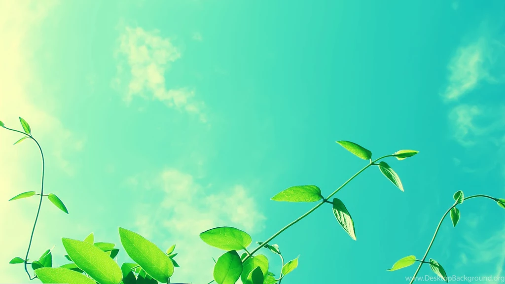 Vines And Sunny Sky Typta.com