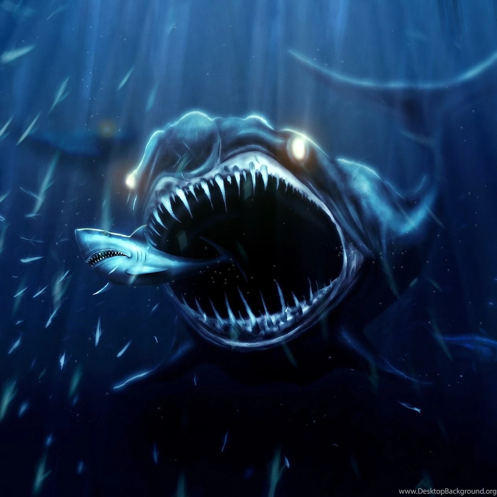 Shark Attacks Beautiful HD Wallpapers, HQ Backgrounds