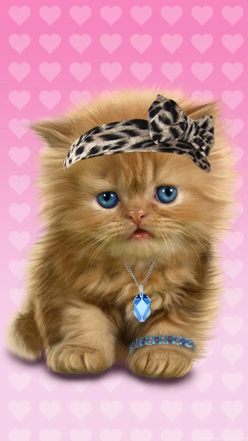 Baby Cat, Cute Live Wallpapers Android Apps On Google Play
