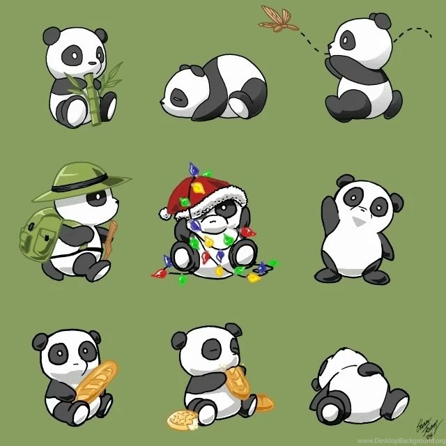 Cartoon Pandas Tumblr Images