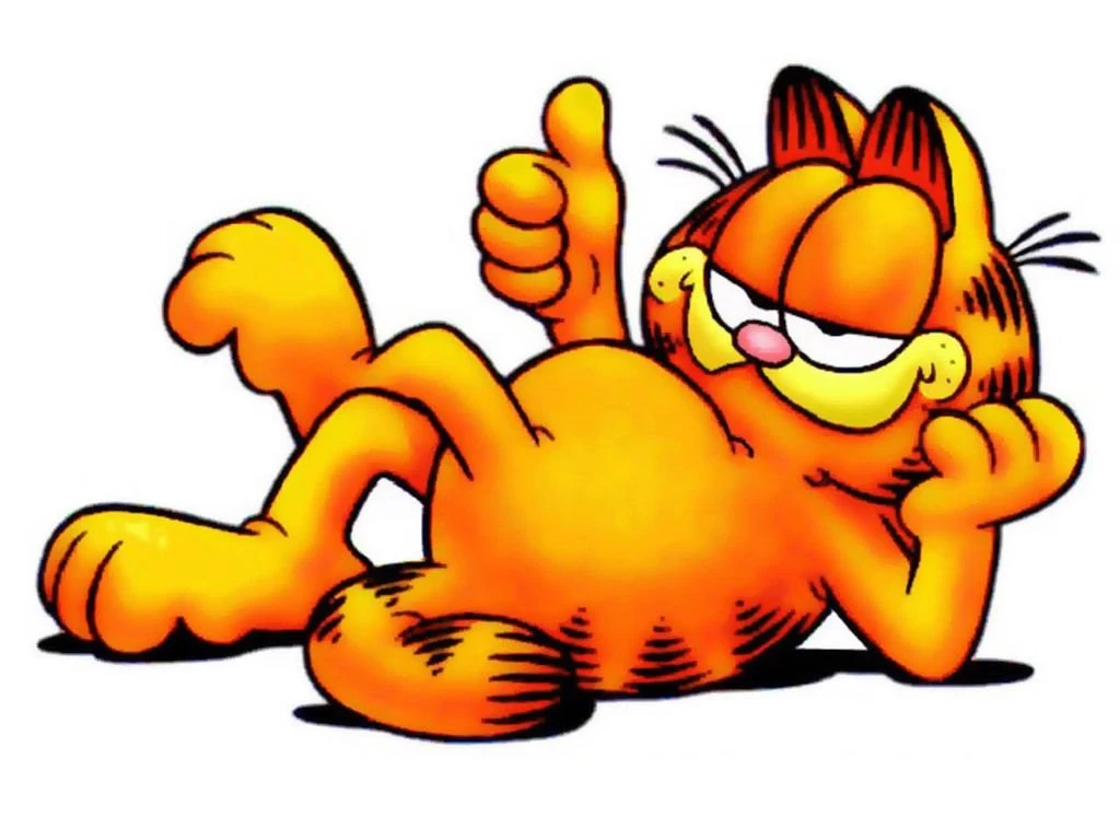 Funny Garfield Wallpapers Wallpapers Cave