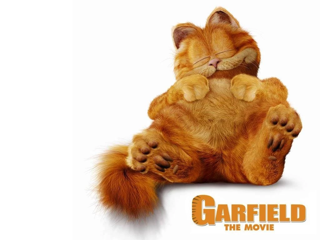 Garfield   Wallpaper.