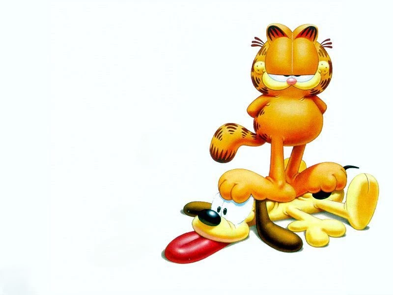 Garfield Standing On Odie White Backgrounds Wallpapers 800×600 ...