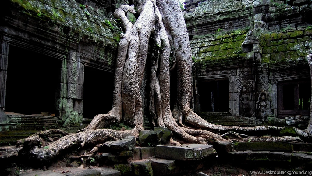 Wallpaper, Nature, Best, Tree (