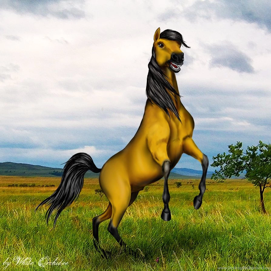 Spirit Stallion Of The Cimarron By Whiteorchidee On Deviantart Spirit Stallion Of The Cimarron By Whiteorchidee On Deviantart