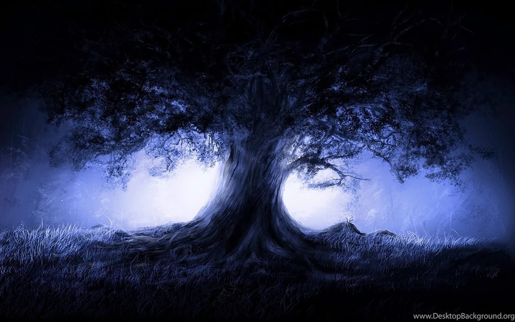 Wallpapers Tree Collection (27+)