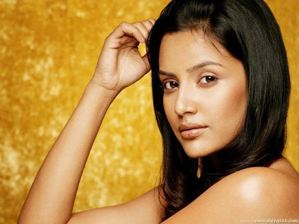 Priya Anand Wallpapers   (1024x768) : Indya101.com