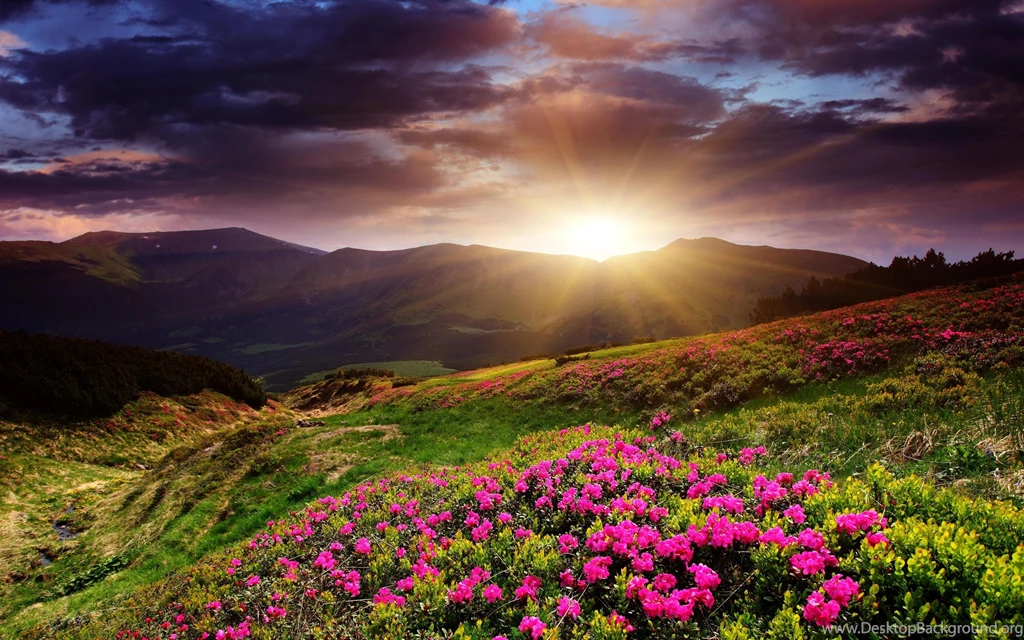 387 Sunrise HD Wallpapers