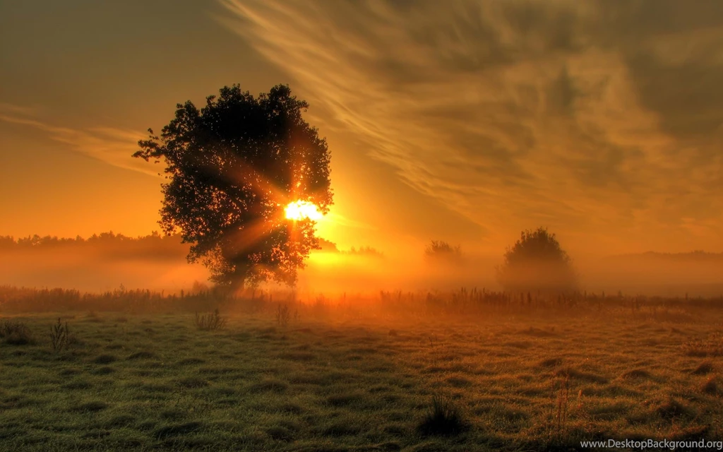 21+ Sunrise Wallpapers, Sunrays, Backgrounds, Images