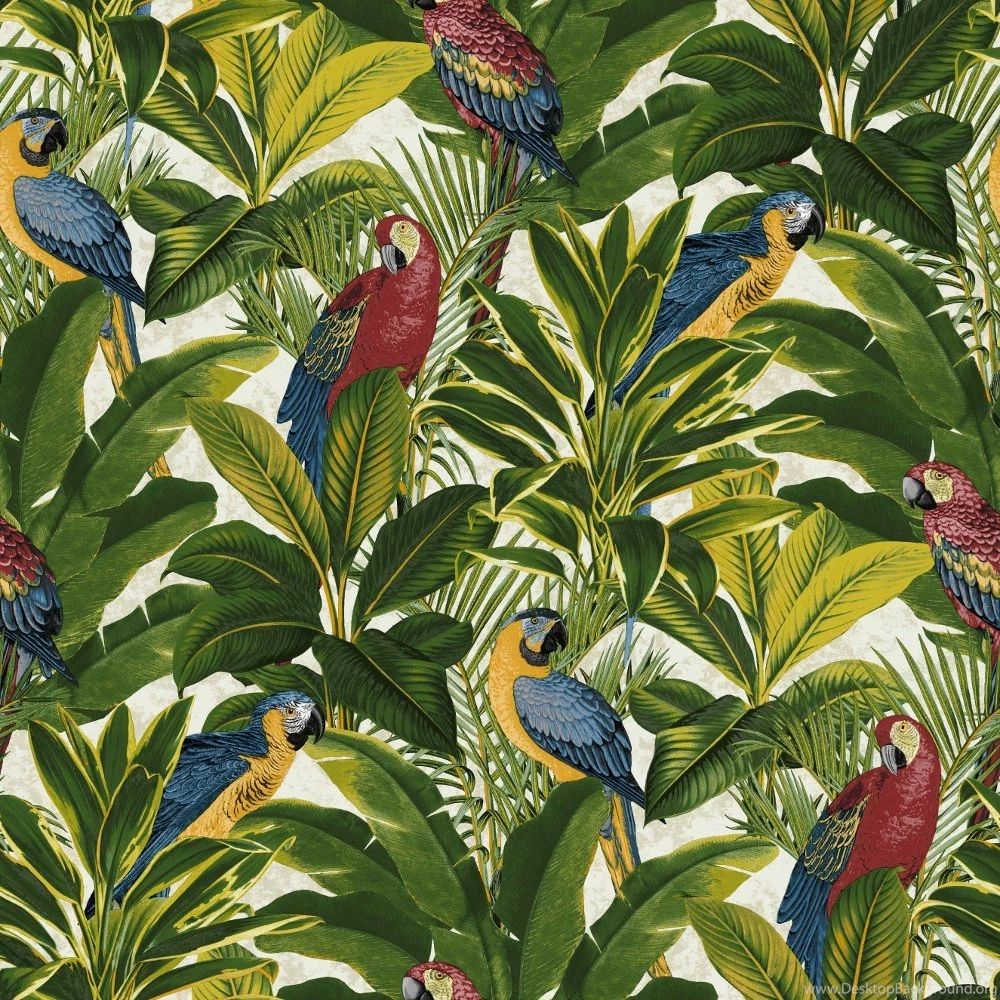Grandeco Ideco Exotic Bird Pattern Parrot Motif Leaf Wallpapers A11504