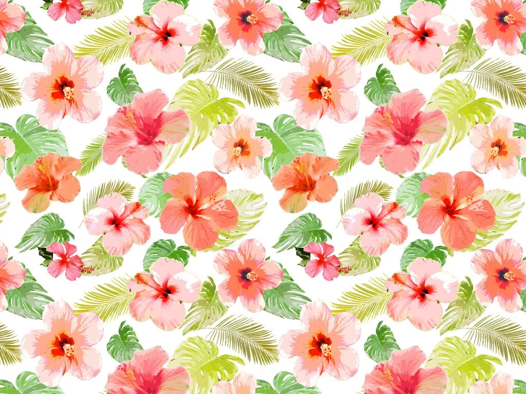 Desktop Wallpapers