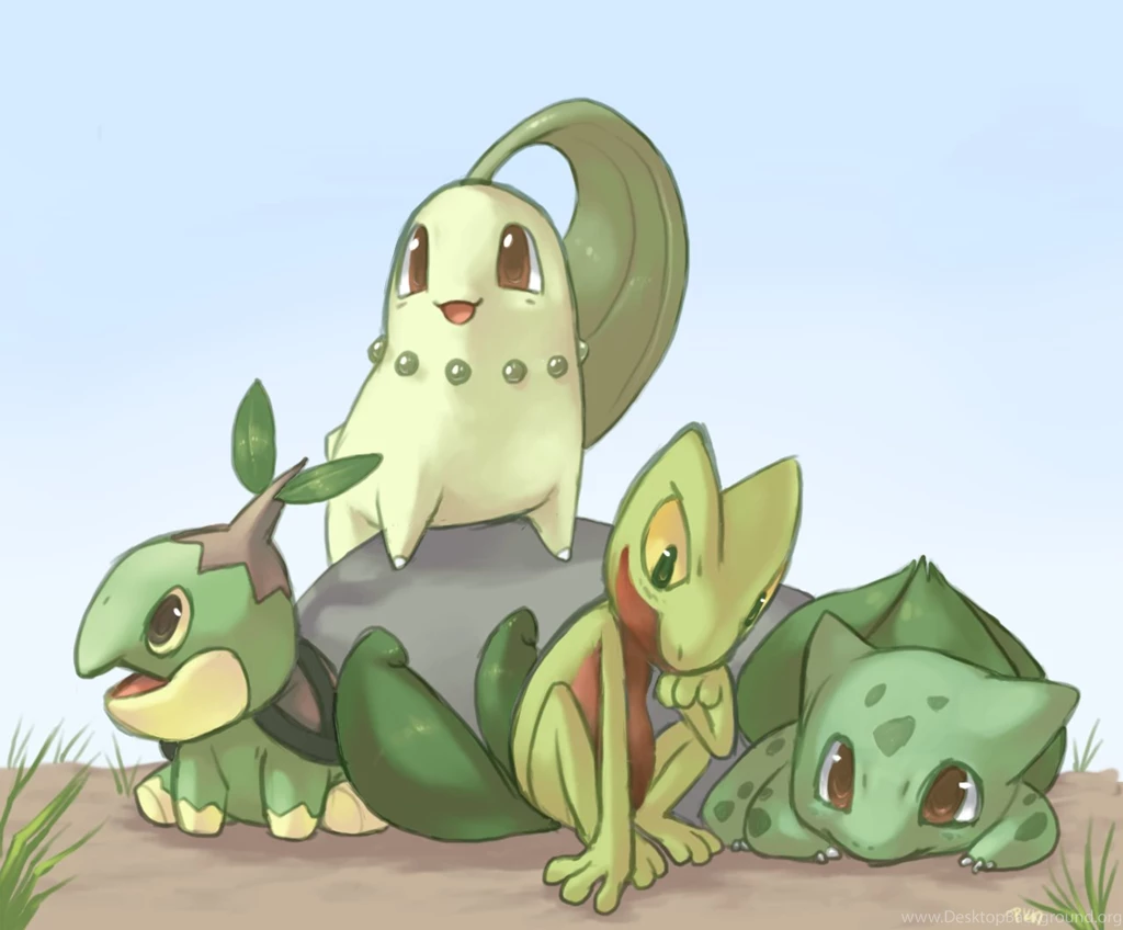 Bulbasaur Chikorita Pokemon Wallpapers (