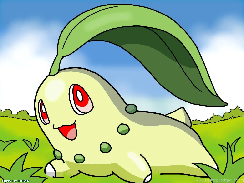 Cute Chikorita Further Pokemon Chikorita Also Pokemon Mudkip Plush ...