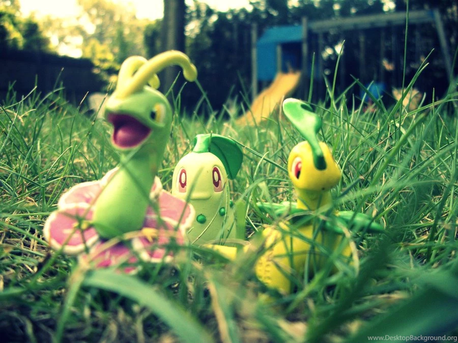 Chikorita Evolutions 2. By SilentGrimmjow On DeviantArt