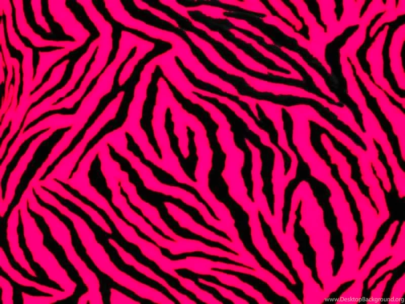 Zebra Print HD Wallpapers Wallpapers Zone