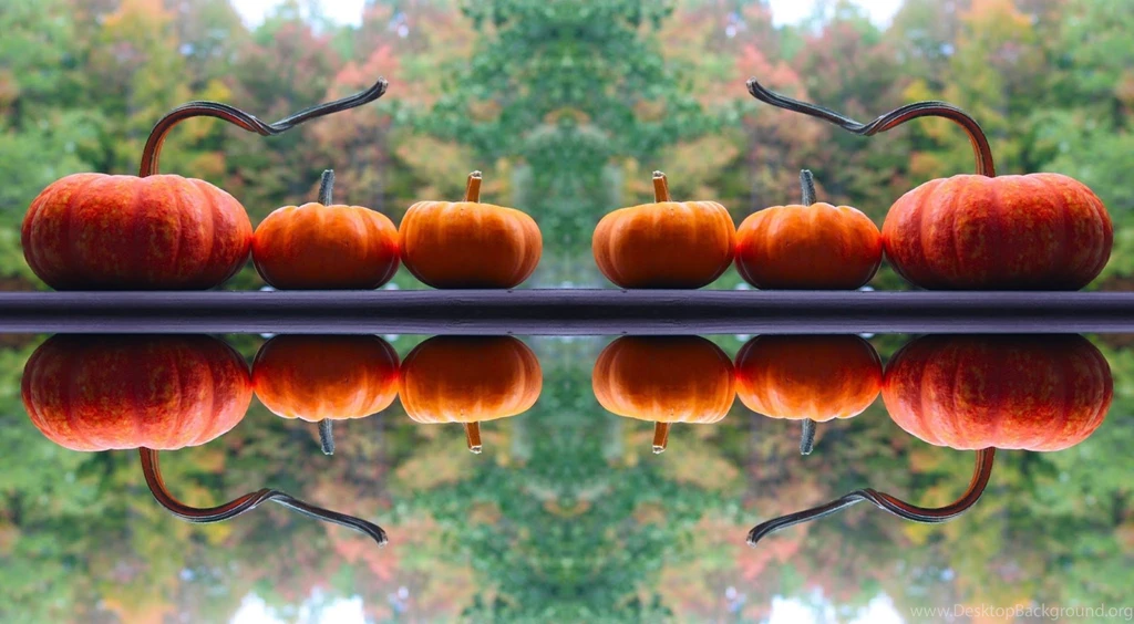 Food Art Party: Free Fall Backgrounds