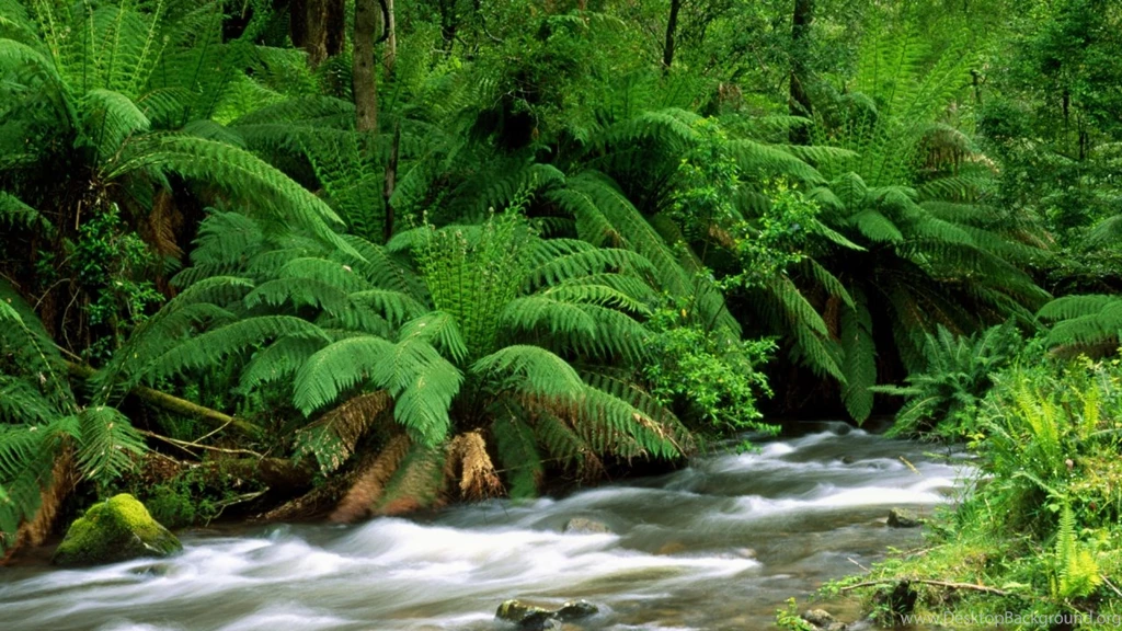 Top Wallpapers 720p