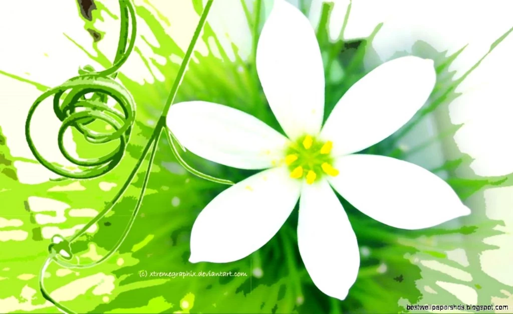 Flower Wallpapers Widescreen