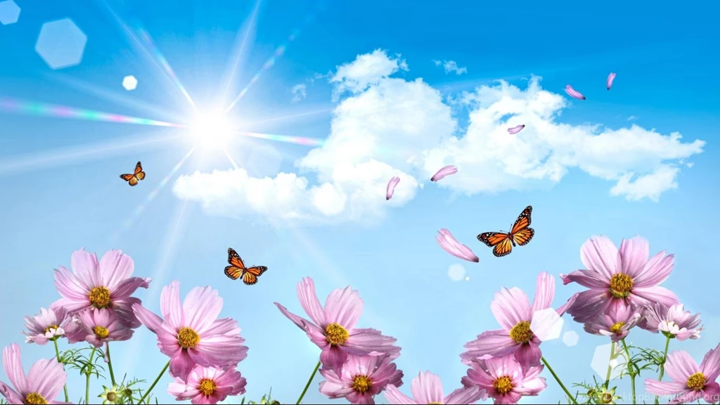 Surrealism Flower Wallpapers Image 1366x768 For 17/19 inch ...