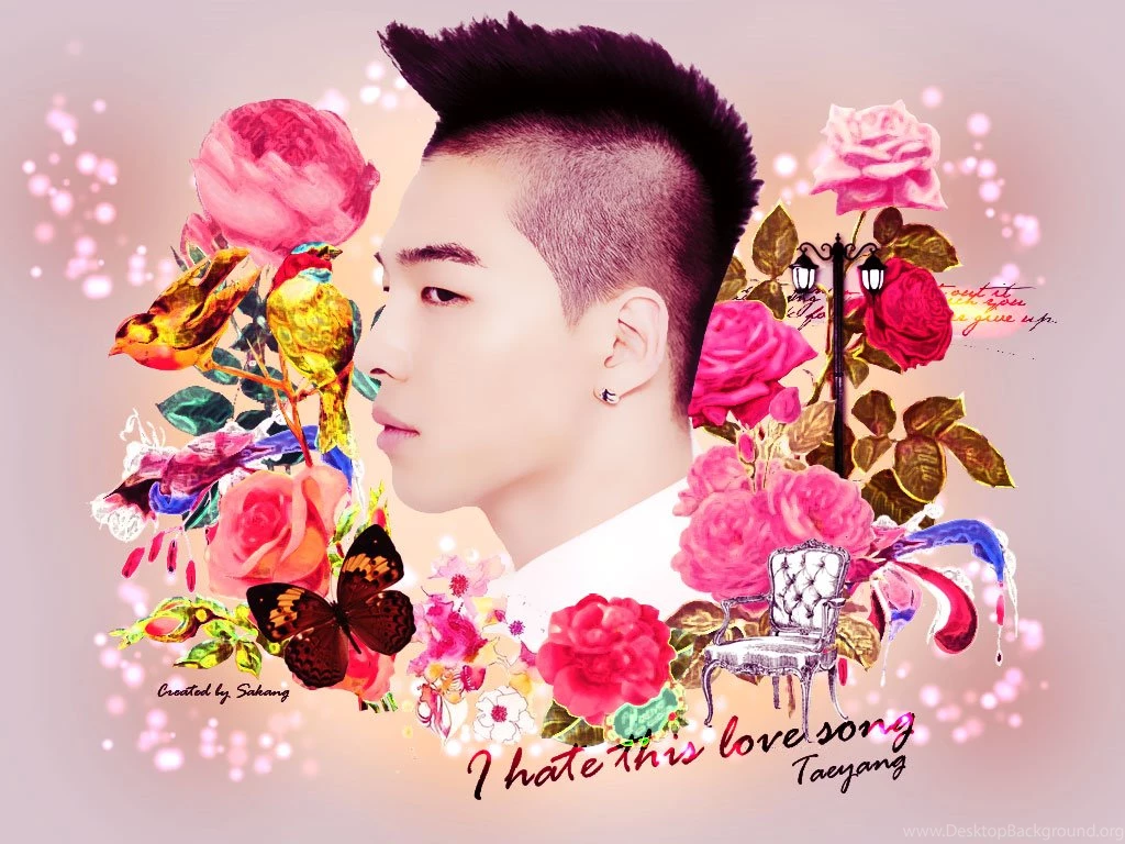 Taeyang Wallpapers