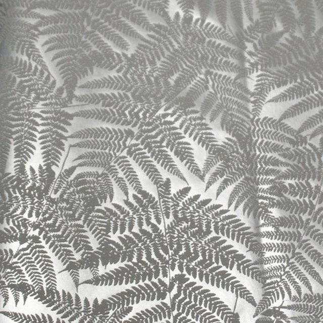 Silver Fern Garden Design 19487