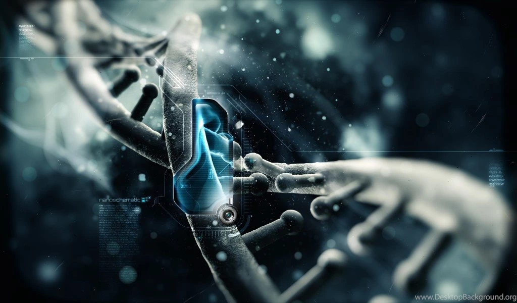 3d Wallpapers In HD Widescreen