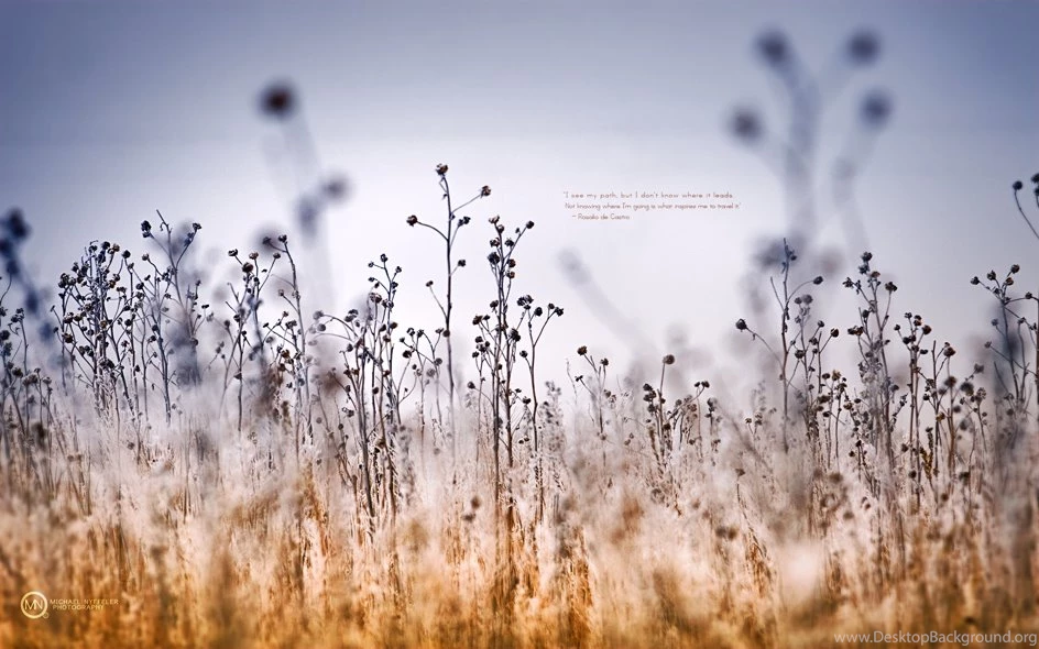 Inspired Travel   Wallpapers Download For 4 26 12 (+ A Future Book ...