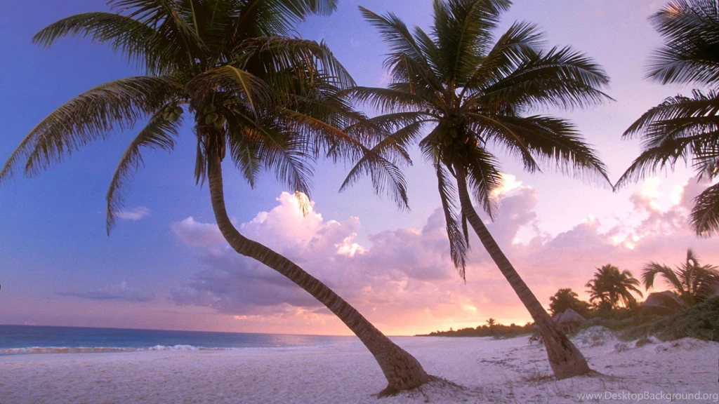 Cancun Wallpapers » WallDevil Best Free HD Desktop And Mobile ...