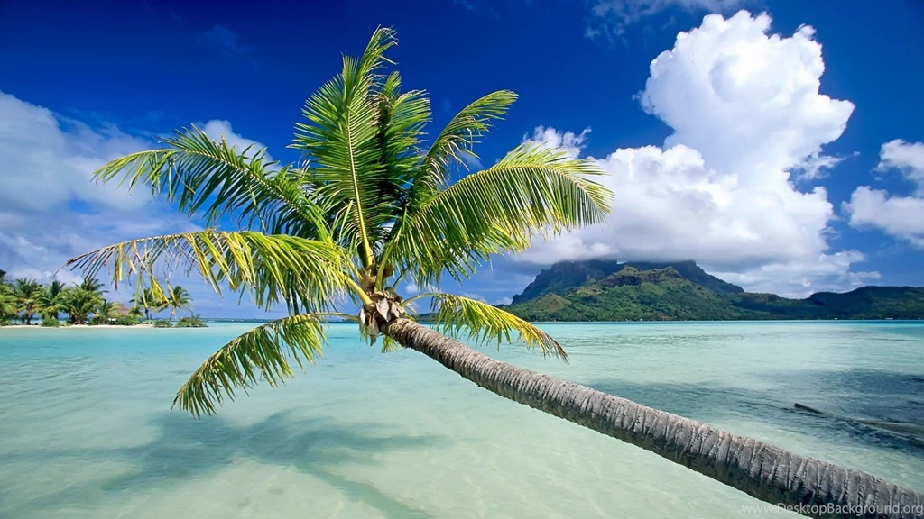 Pictures Of Nature Backgrounds