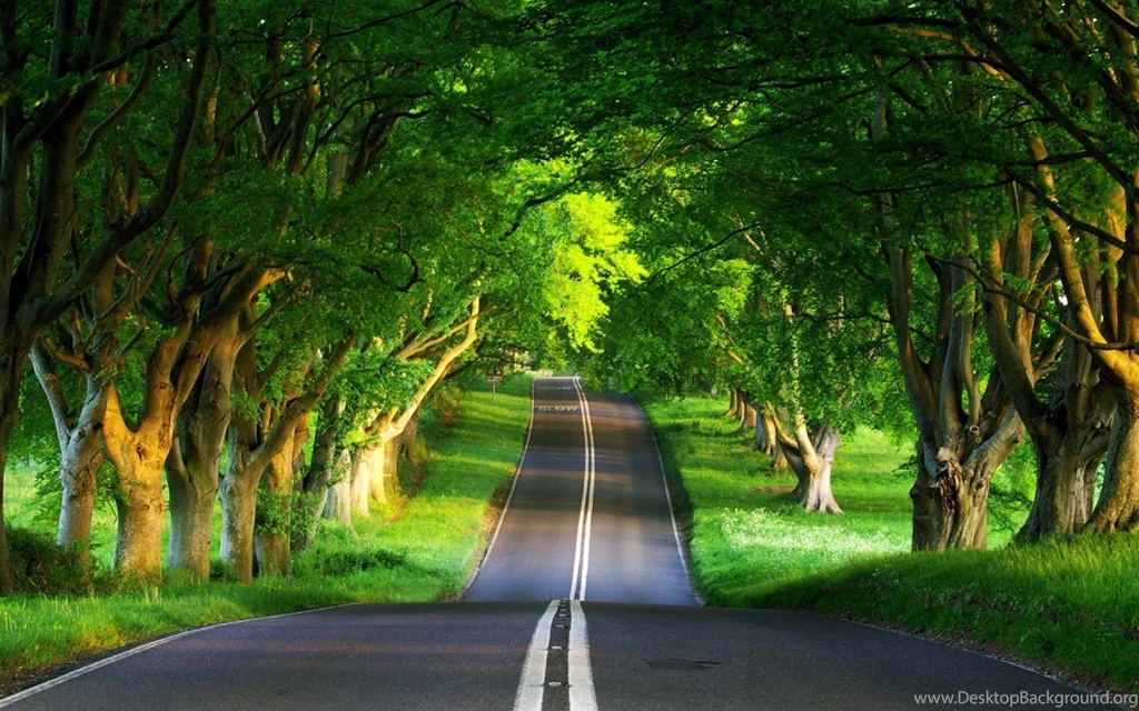 Nature Backgrounds