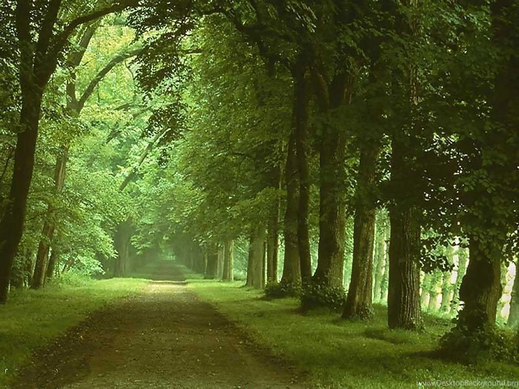 Nature Backgrounds For Computer Wallpapers Free Hd Wallpapers