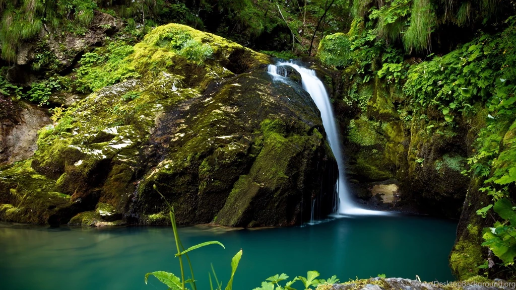 1920x1080 Waterfall Rain Forest Wallpapers