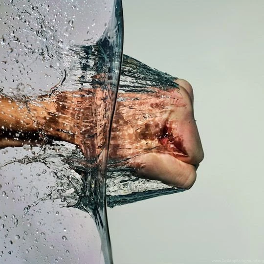 So Easy To Do And So Awesome Looking. Fish Tank, White Backgrounds ...