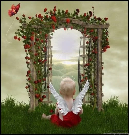 All Animal: Babies Angel Cute Babies Wallpapers Sweet Baby Photos ...